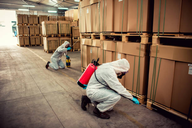 Best Termite Control Services  in Townsend, MT
