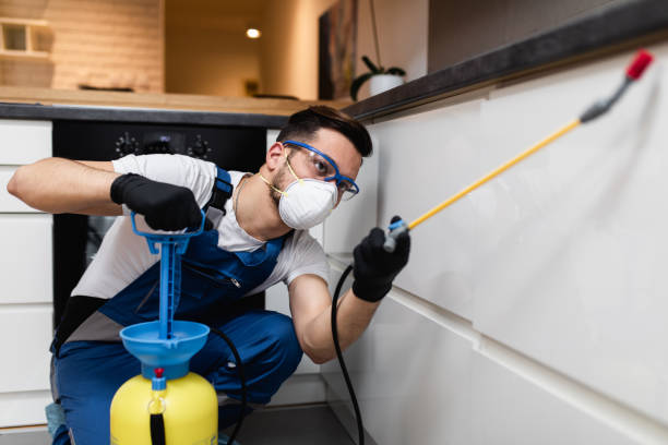 Best Wasp Removal Services  in Townsend, MT