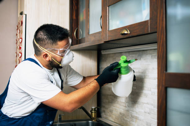 Best Exterminator Services  in Townsend, MT