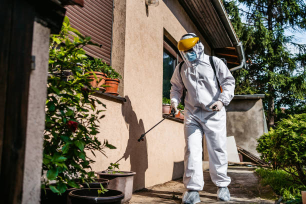 Best Local Pest Control Services  in Townsend, MT