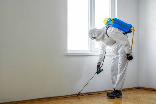 Best Pest Removal Services  in Townsend, MT