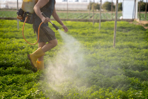 Best Exterminator Services  in Townsend, MT