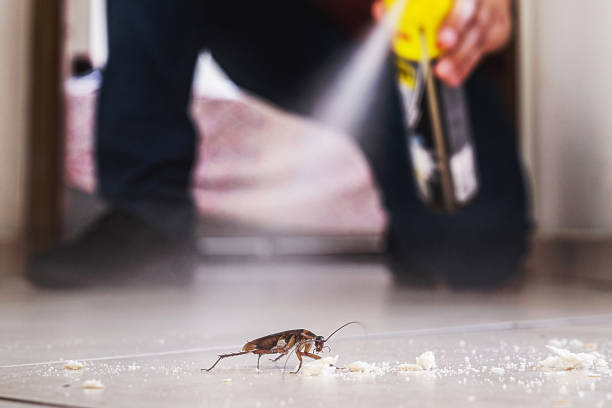 Best Wildlife Control Services  in Townsend, MT