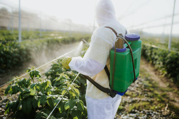Best Pest Inspection Near Me  in Townsend, MT